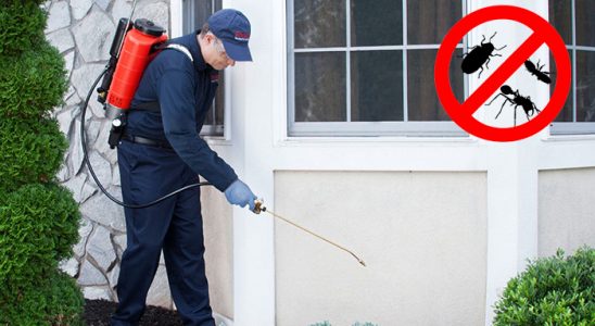 Keles Böcek İlaçlama böcek ilaçlama ve haşere kontrolü — ilaclama-tr.com